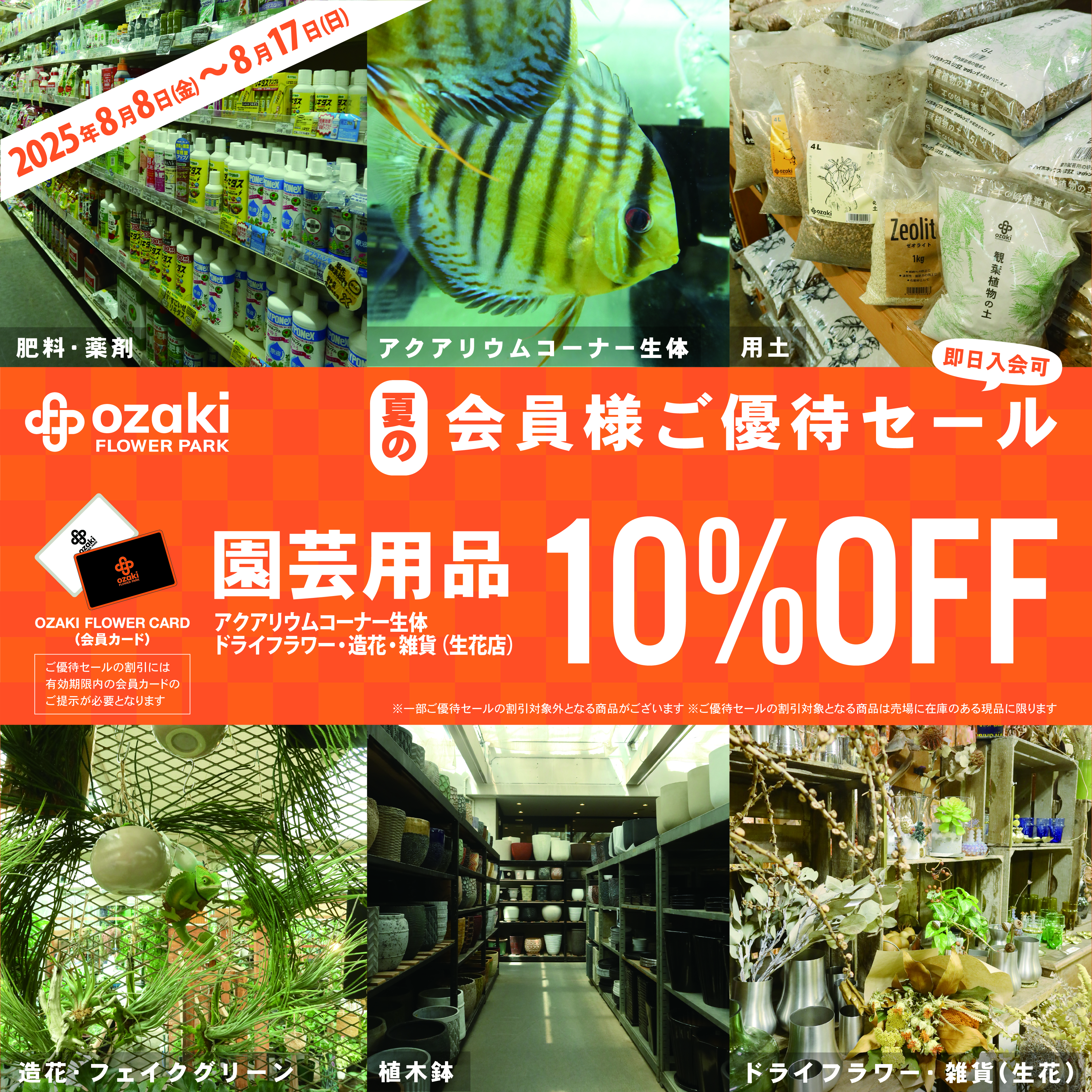 8/8-8/17 | 夏の会員様ご優待セール | オザキフラワーパーク | オザキ 