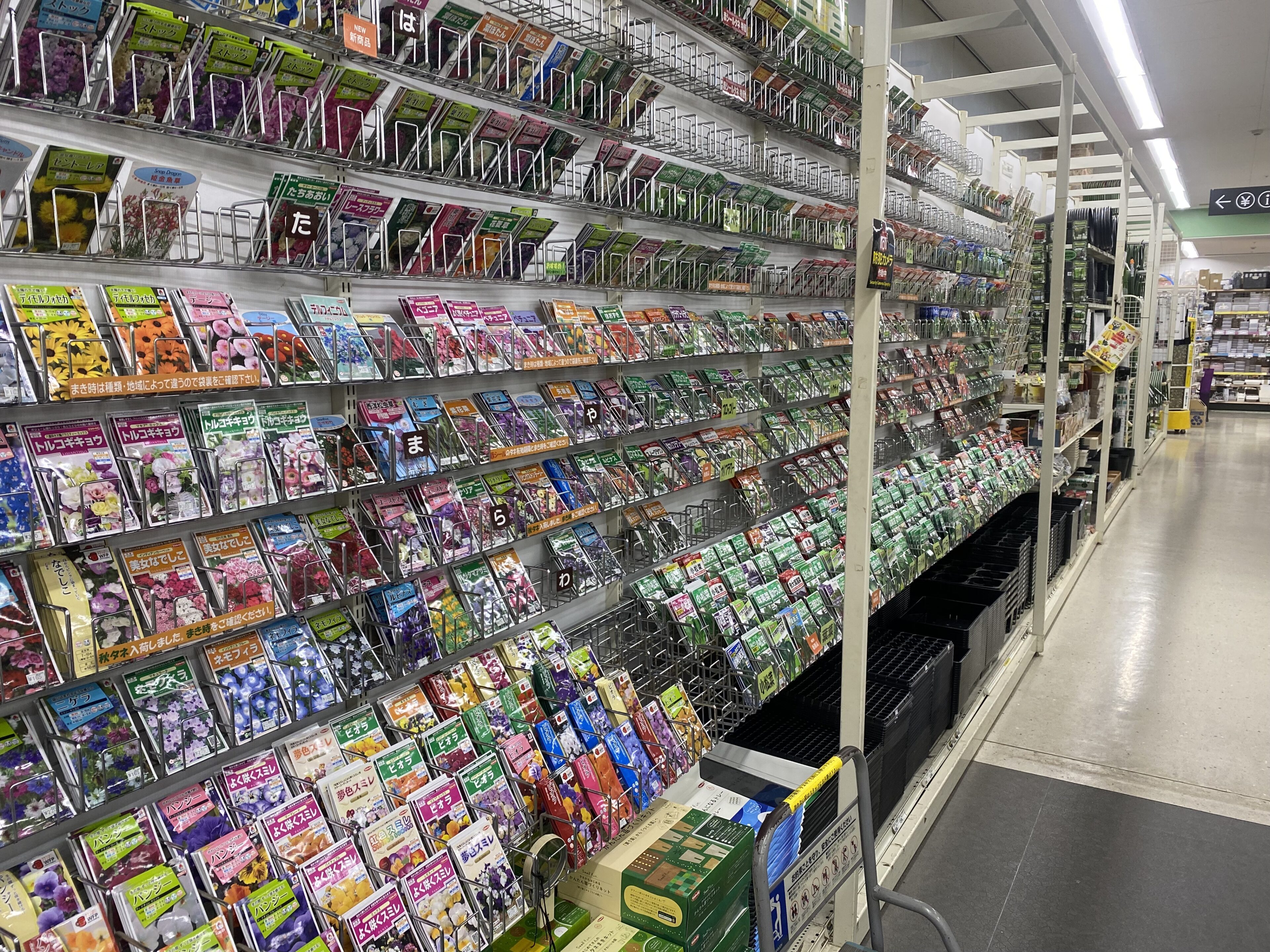 手軽に家庭菜園しませんか？ | オザキフラワーパーク | オザキフラワー