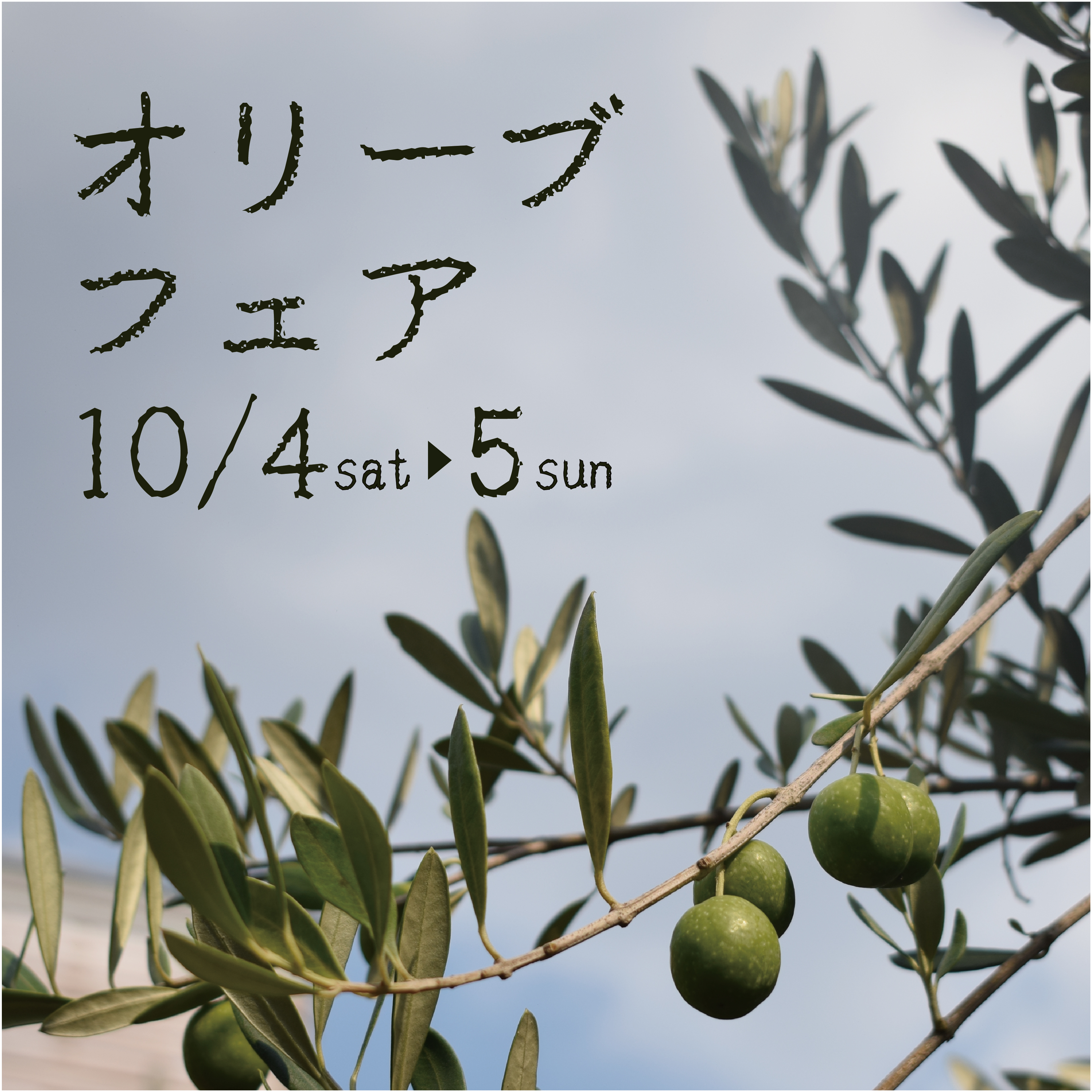 10/4-5｜オリーブフェア | オザキフラワーパーク | オザキフラワーパーク