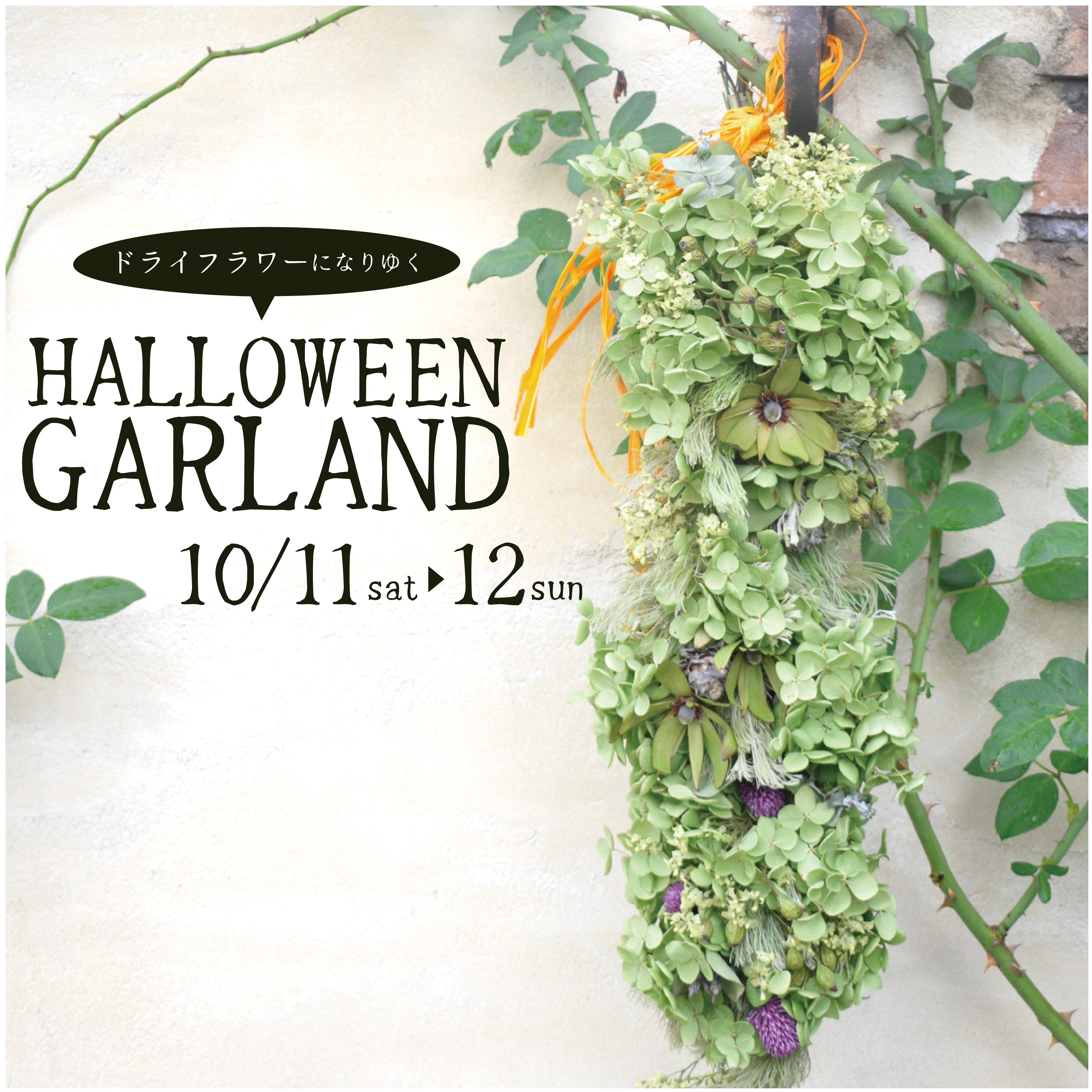 10/10 – 10/26 | TRICK or TREE? 後半戦 | オザキフラワーパーク 