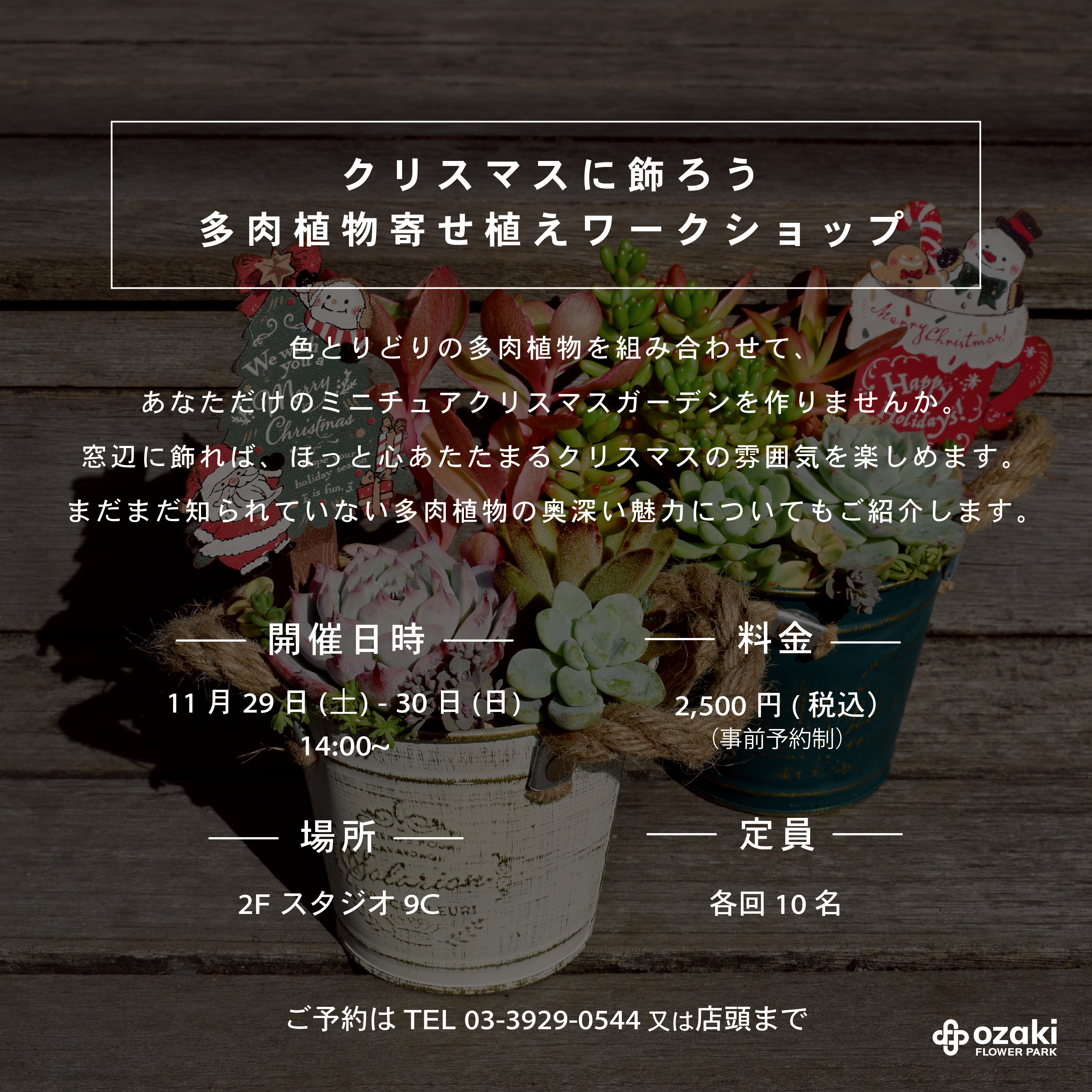 満員御礼】11/29-30｜クリスマスに飾ろう 多肉植物寄せ植えワーク 
