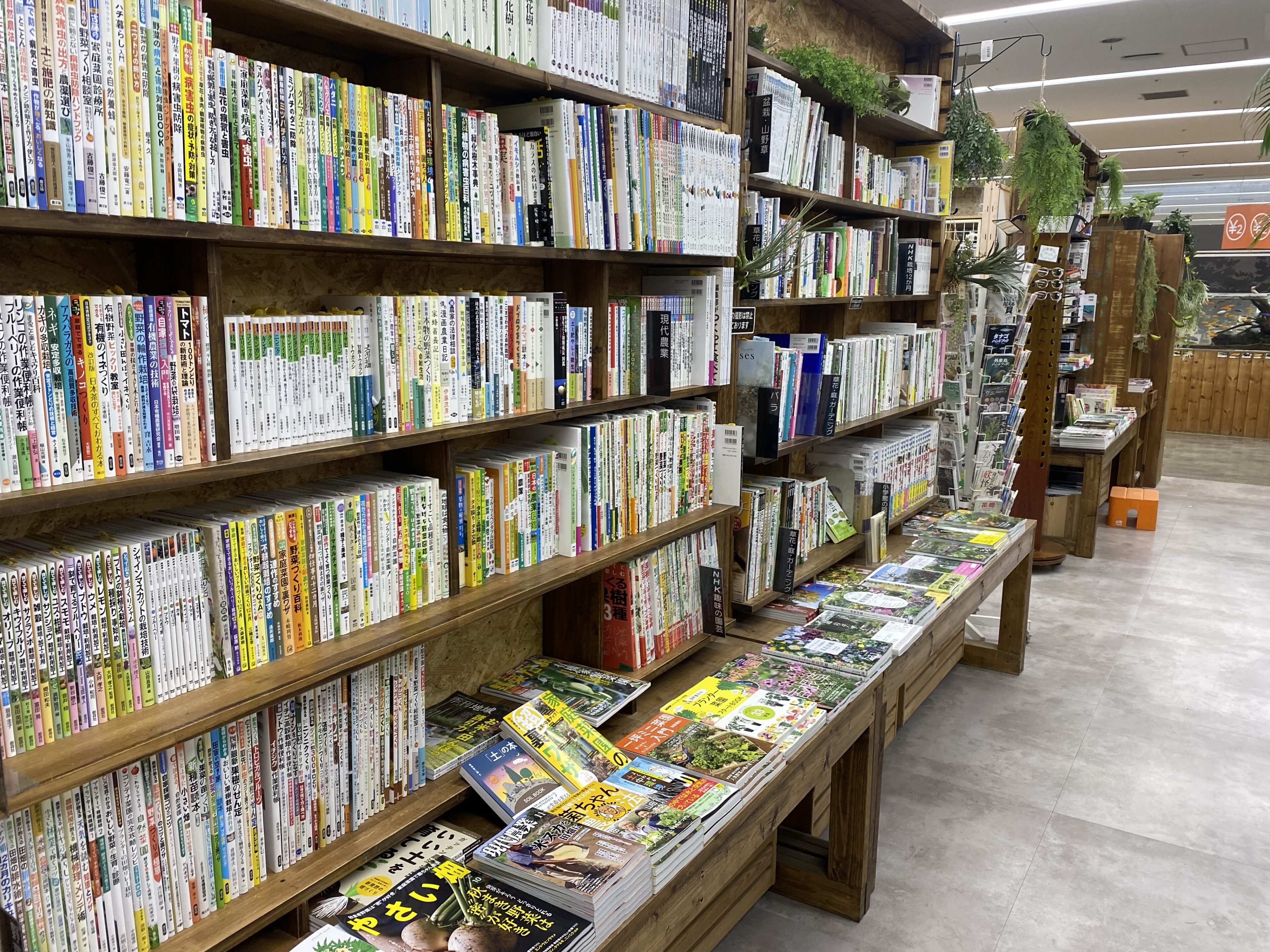 新刊が発売です！！ | オザキフラワーパーク | オザキフラワーパーク