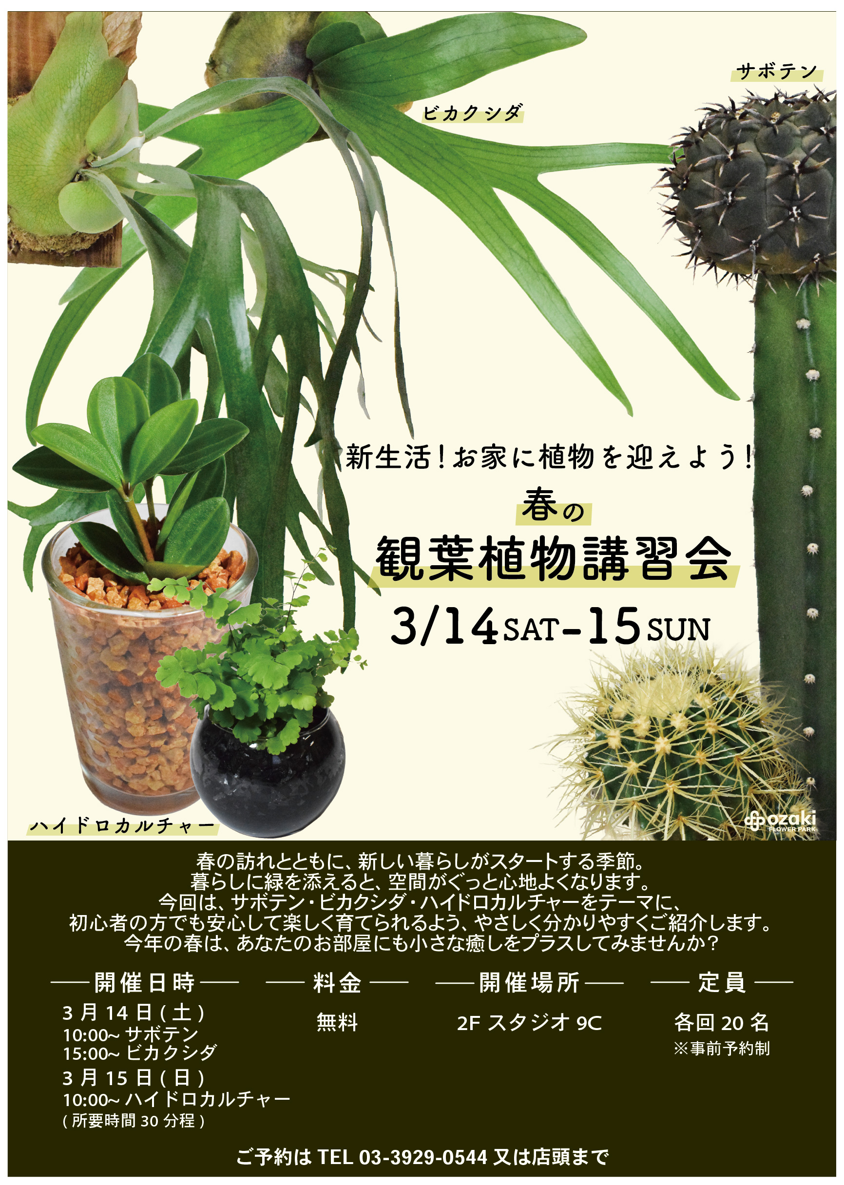3/14-15 | 新生活！お家に植物を迎えよう！春の観葉植物講習会 