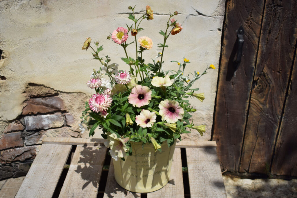 ナチュラル×フェミニン寄せ植え