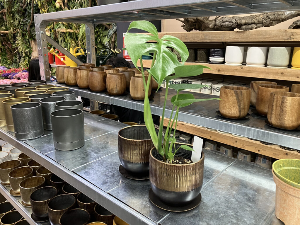 ?オザキフラワーパークで植物 × 鉢を合わせる | オザキフラワーパーク 