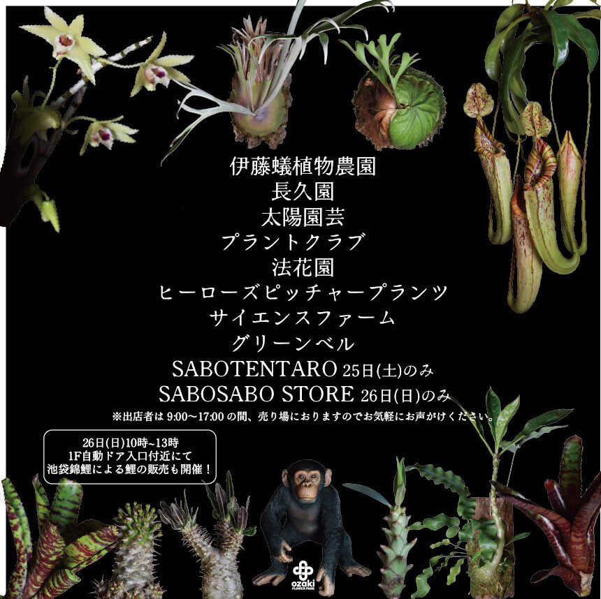 7/25・26 | オザキ珍植物コレクション3 | オザキフラワーパーク